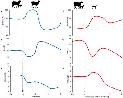 What Do We Know and Need to Know About Weaning in Sheep? An Overview of Weaning Practises, Stress and Welfare